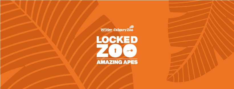 Locked Zoo on Where Rockies