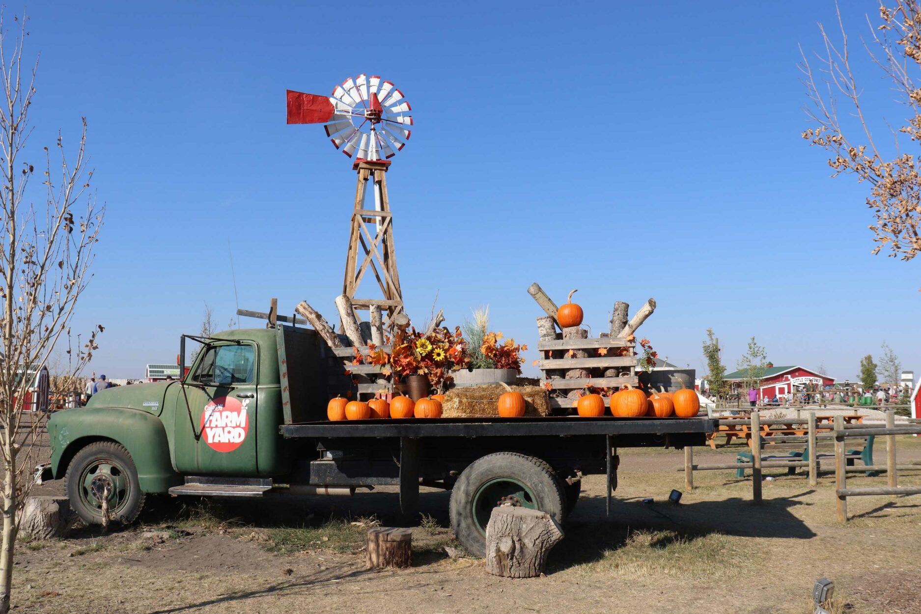 Calgary Farmyard – Fall Fun for the Whole Family Main Photo