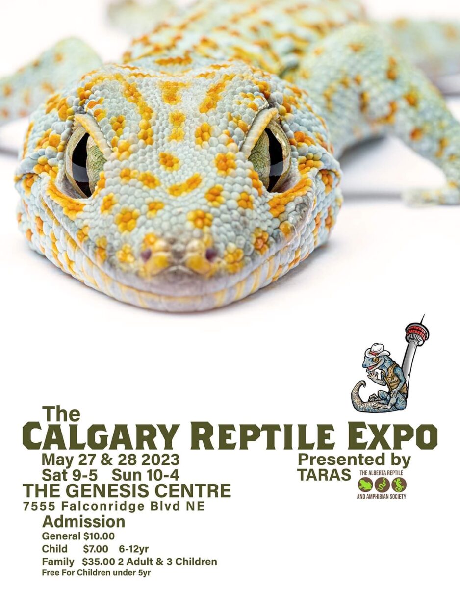 Calgary Reptile Expo on Where Rockies
