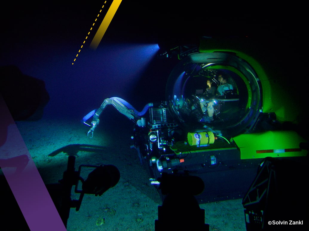 National Geographic Live: From Shallows to Seafloor on Where Rockies