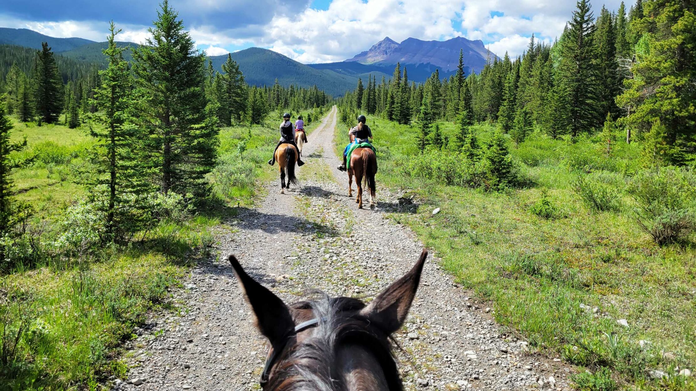 Camping with Horses at Little Elbow on Where Rockies