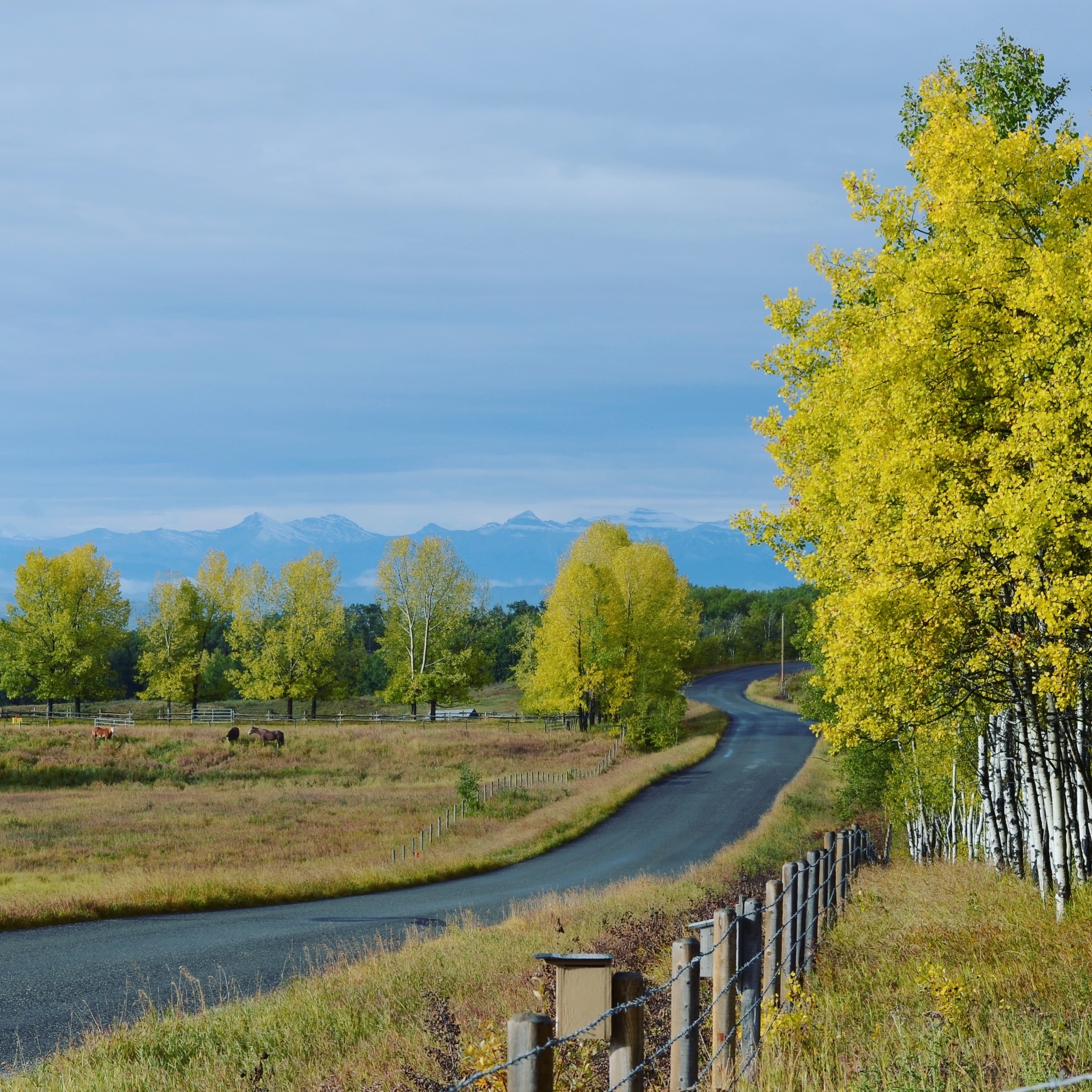 The Most Beautiful Art Tour Where Calgary Online