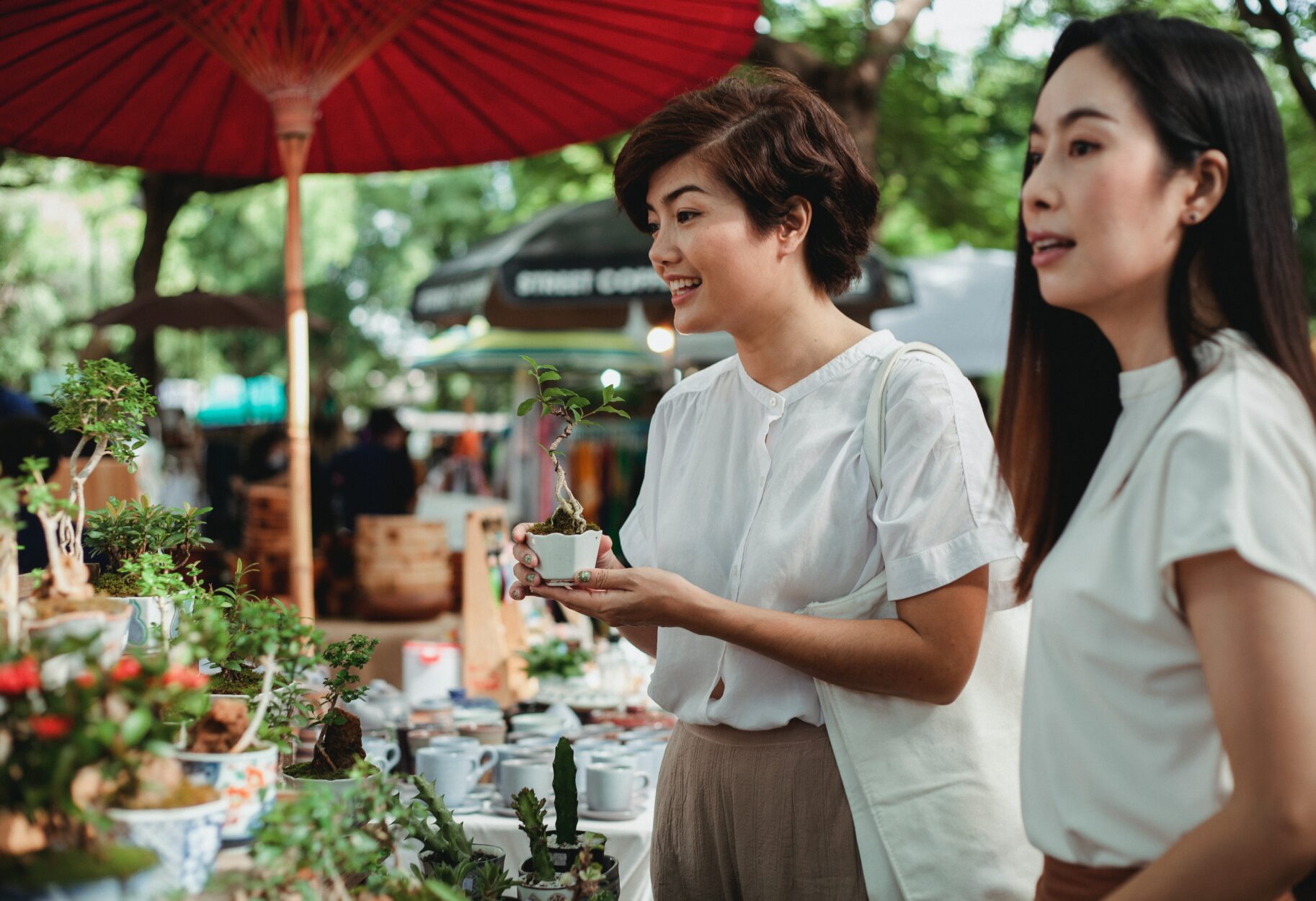 Starry Nights and Vibrant Vendors on Where Rockies