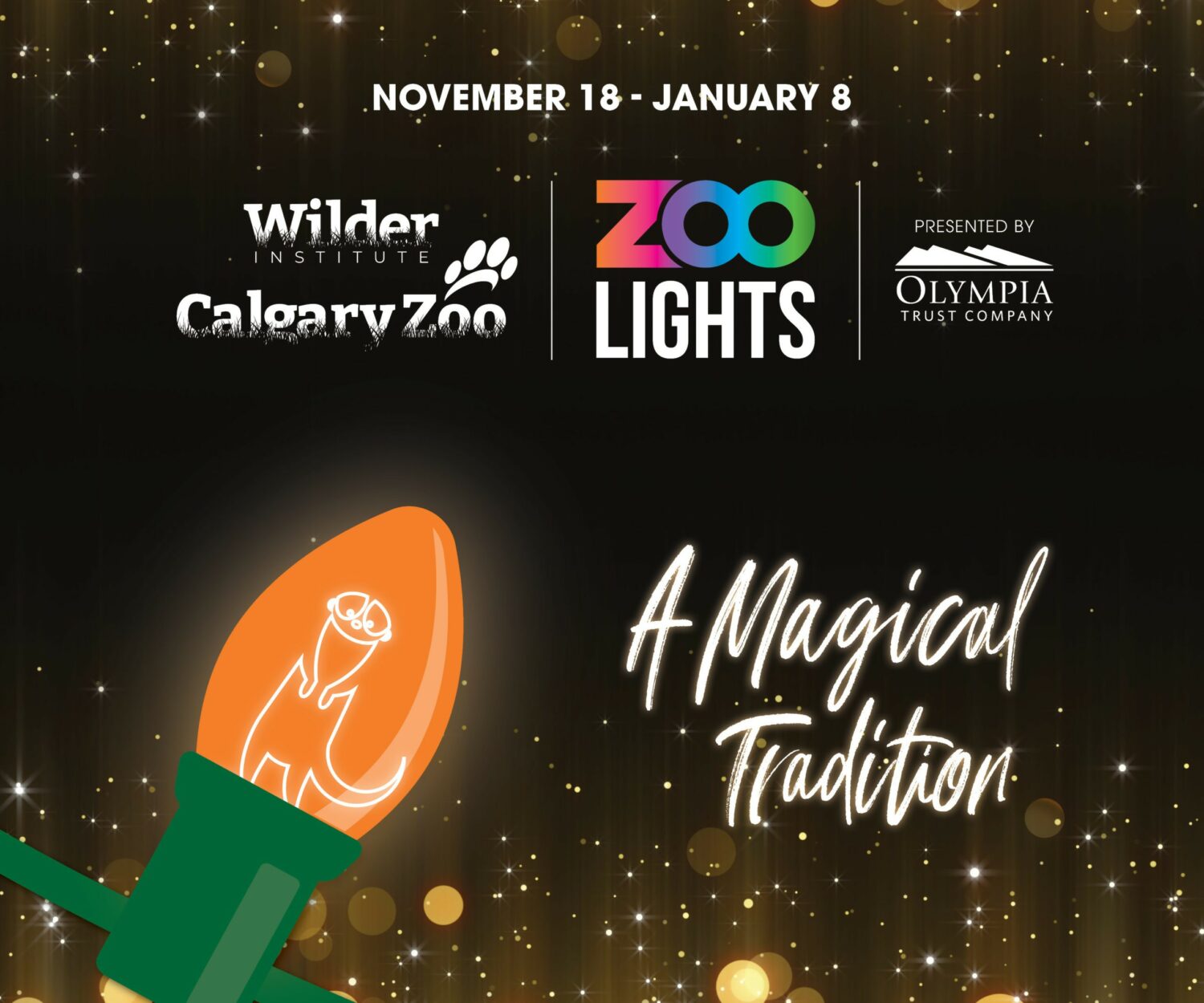 Zoo Lights on Where Rockies