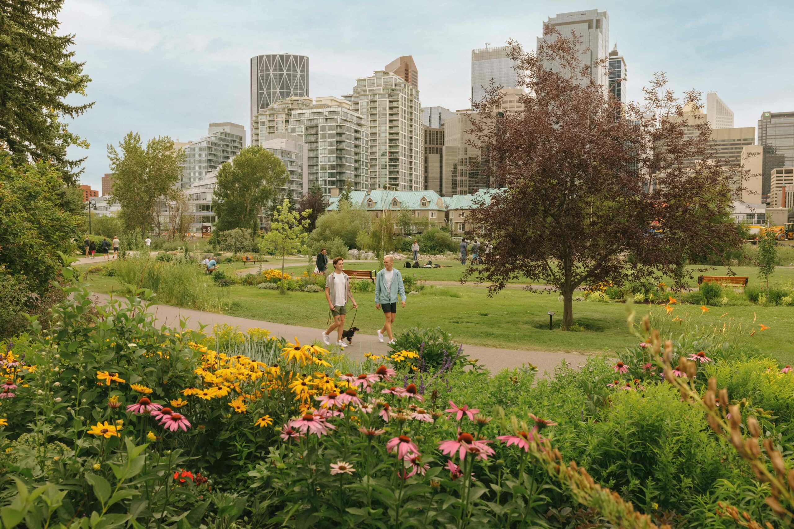 A couple walks in Prince's Island Park with flowers in the foreground and the cityscape in the background. This park is an excellent photo op in Calgary.