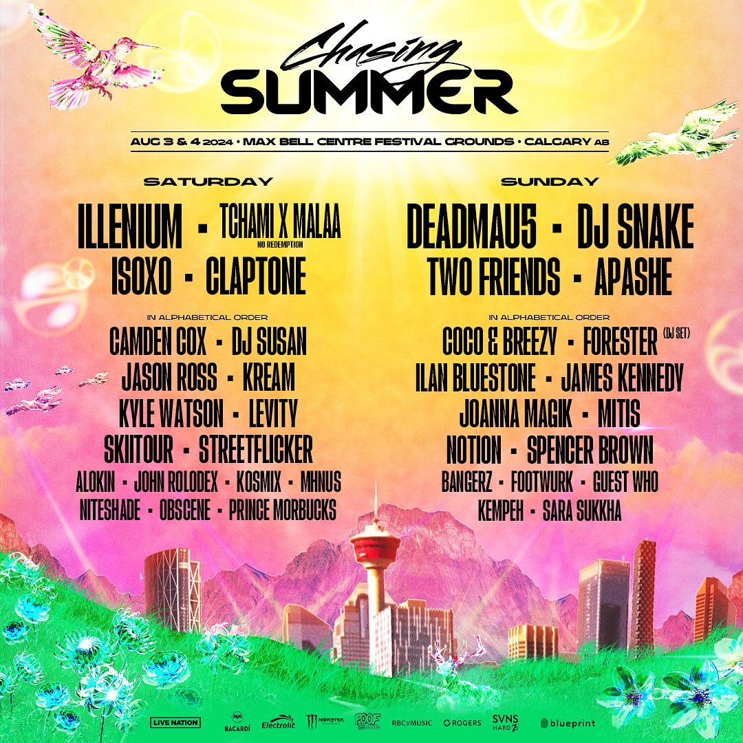 Chasing Summer Music Festival Event Image