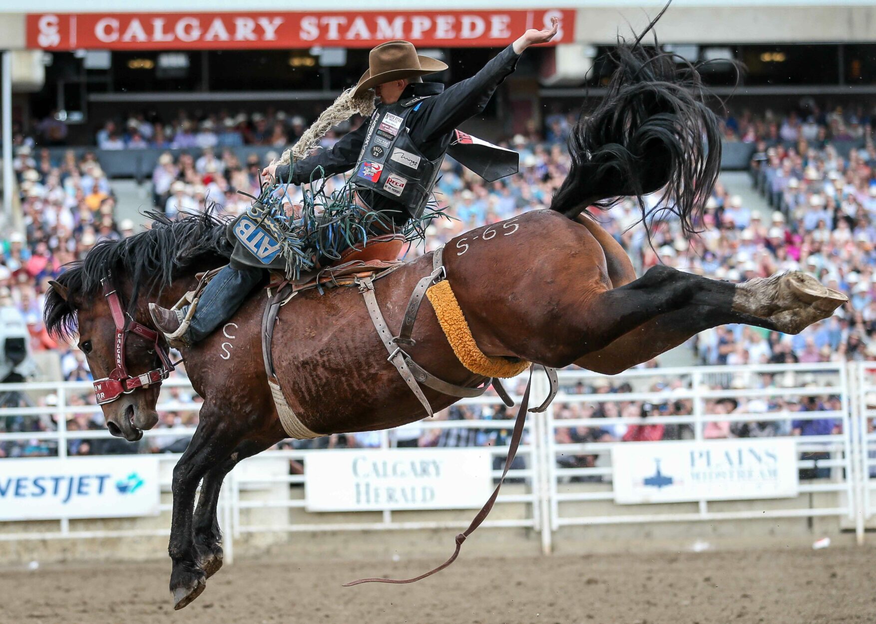 Calgary Stampede - Read more on Where Calgary Online Calgary Stampede on Where Rockies