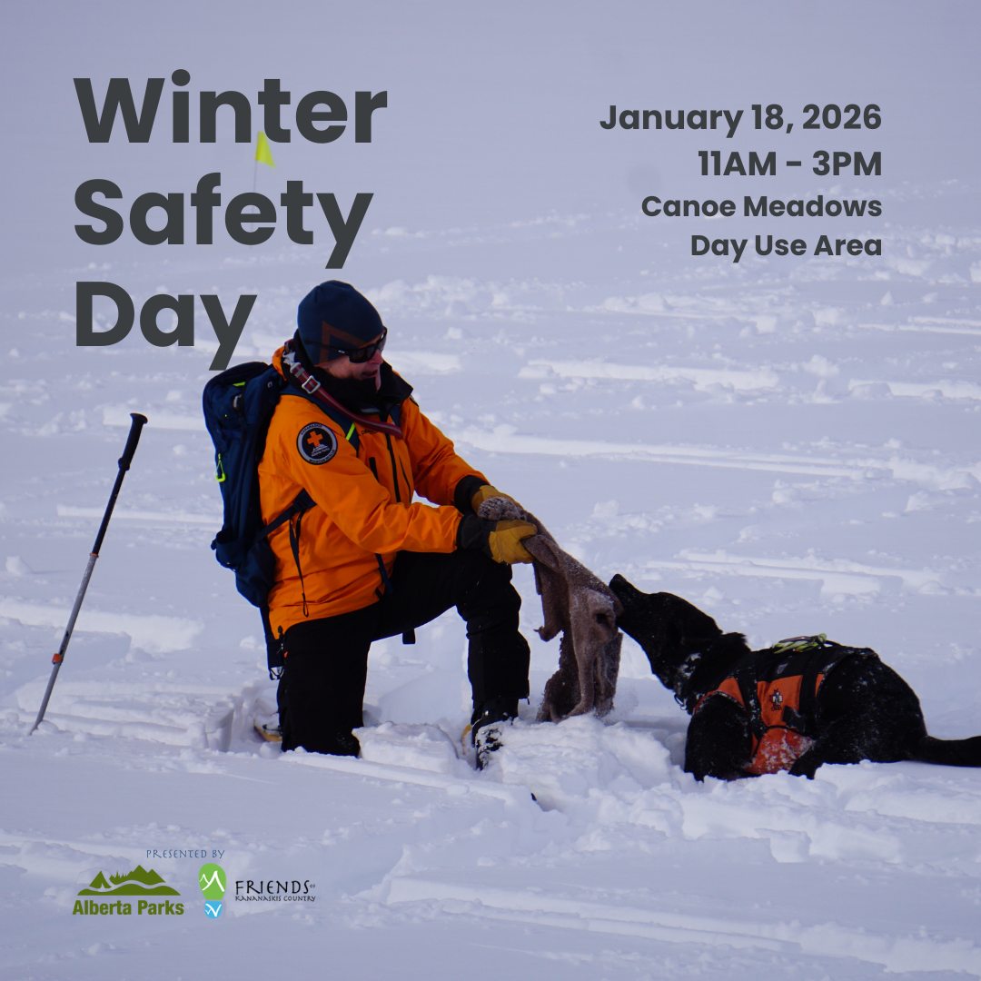 Winter Safety Day Event Image