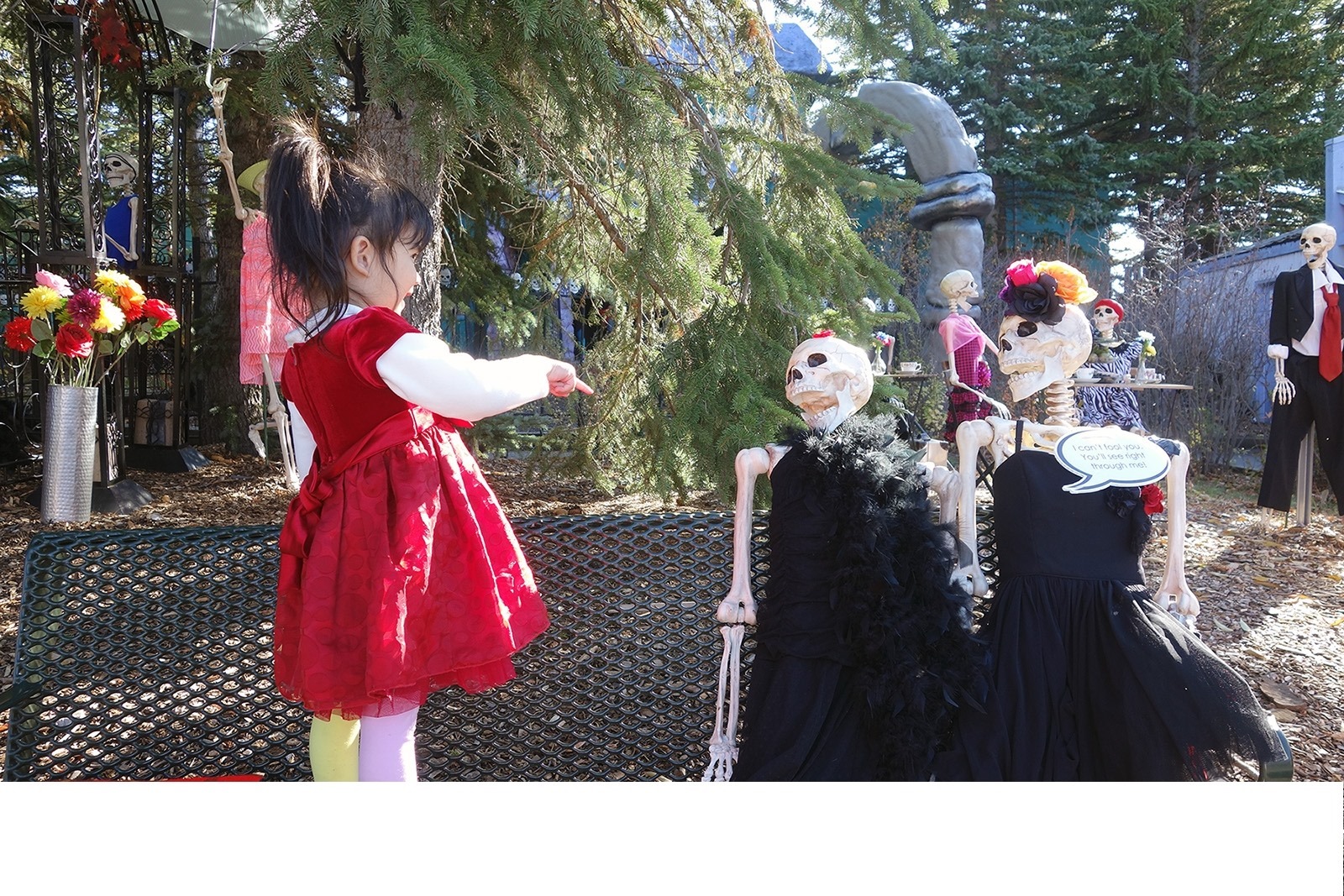 Halloweekends - Read more on Where Calgary Online Halloweekends on Where Rockies
